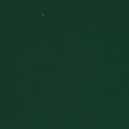 Satelita