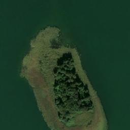 Satelita