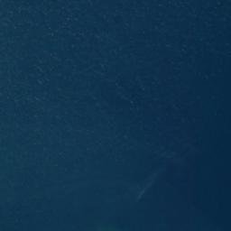 Satellite imagery of Clio Point, CA
