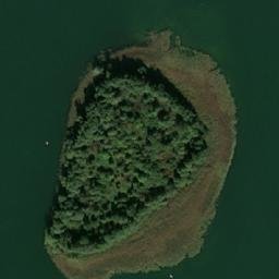 Satelita