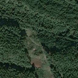 Satelita