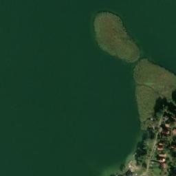 Satelita
