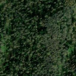 Satellite imagery of Вырубка, RU