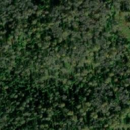 Satellite imagery of Вырубка, RU