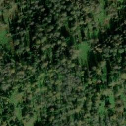 Satellite imagery of Вырубка, RU