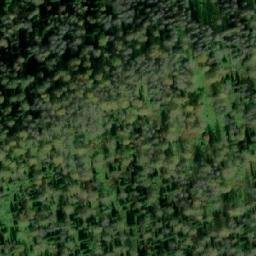 Satellite imagery of Вырубка, RU