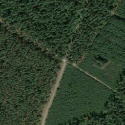 Satelita