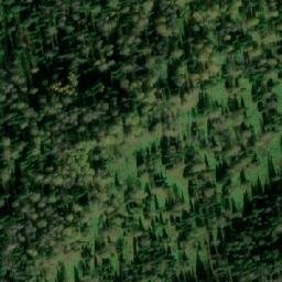 Satellite imagery of Вырубка, RU