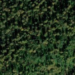 Satellite imagery of Бол. Сиенка, RU