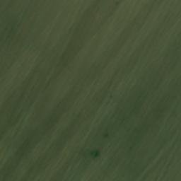 Satellite imagery of Danzelberg, DE