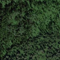 Satellite imagery of Заболоченная, RU