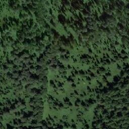 Satellite imagery of Заболоченная, RU