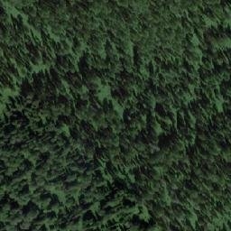 Satellite imagery of Заболоченная, RU