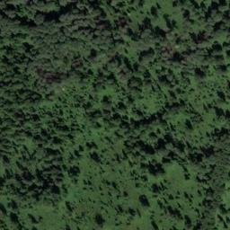 Satellite imagery of Заболоченная, RU