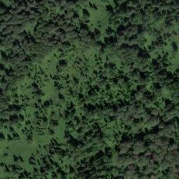 Satellite imagery of Заболоченная, RU