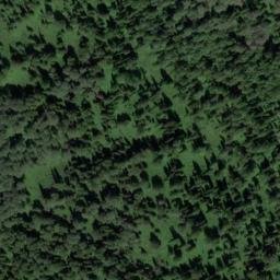 Satellite imagery of Заболоченная, RU