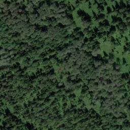 Satellite imagery of Заболоченная, RU