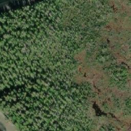 Satellite imagery of Whiteley Point, CA
