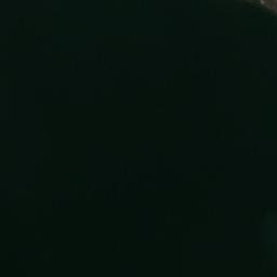 Satelita