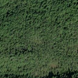 Satellite imagery of Fish Point, CA