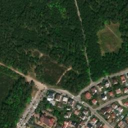 Satelita