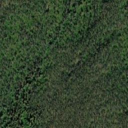 Satellite imagery of Mount Greer, CA