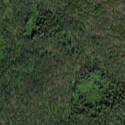 Satellite imagery of Mount Greer, CA