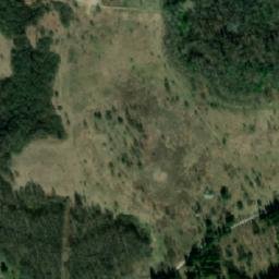 Satelita