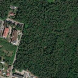 Satelita