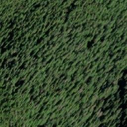 Satellite imagery of Mount Shields, CA