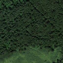 Satellite imagery of Лучшево, KZ