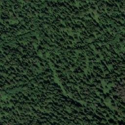 Satellite imagery of Устье Мызы, RU