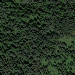 Satellite imagery of Устье Мызы, RU