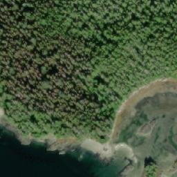 Satellite imagery of Chief Point, CA