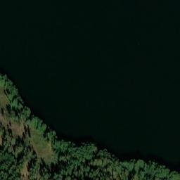 Satelita