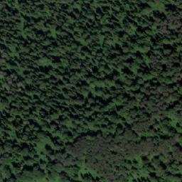 Satellite imagery of Устье Мызы, RU