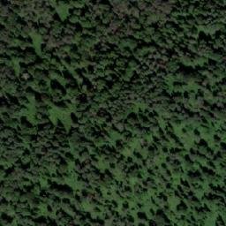 Satellite imagery of Устье Мызы, RU