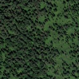 Satellite imagery of Устье Мызы, RU