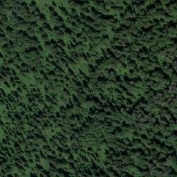 Satellite imagery of Устье Мызы, RU