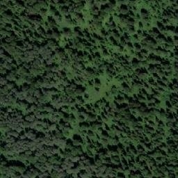 Satellite imagery of Устье Мызы, RU