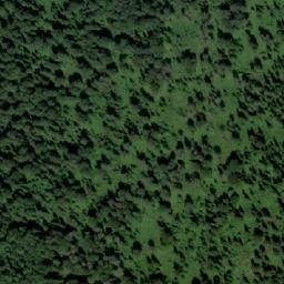 Satellite imagery of Устье Мызы, RU