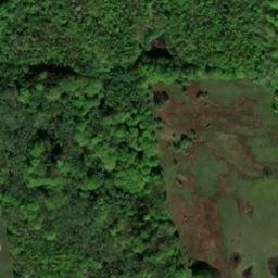 Satellite imagery of Bornberg, DE