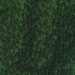 Satellite imagery of Осиновая, RU