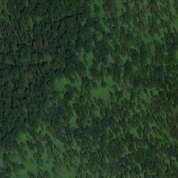 Satellite imagery of Осиновая, RU