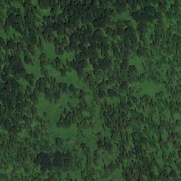 Satellite imagery of Осиновая, RU