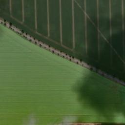 Satellite imagery of Saxton, GB