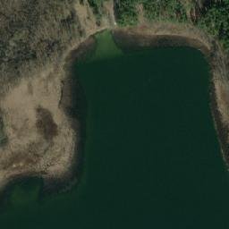 Satelita