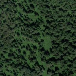 Satellite imagery of Мызы, RU