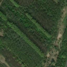 Satellite imagery of Совхозная, KZ