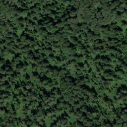 Satellite imagery of Мызы, RU